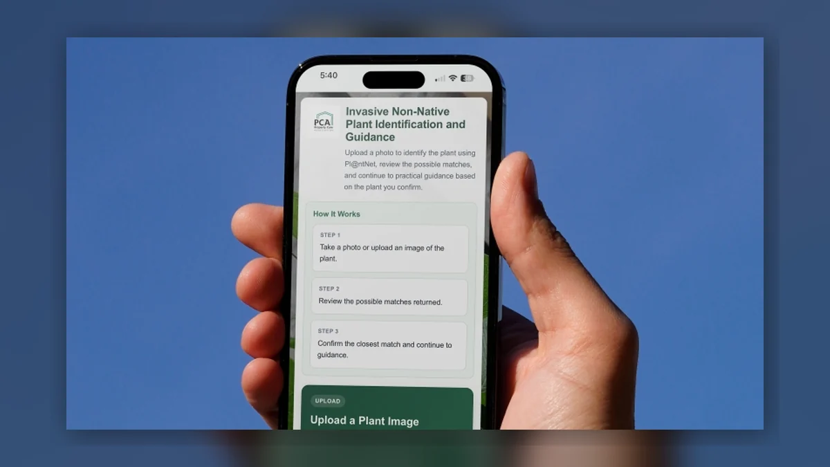 New App Helps UK Builders Identify and Act on Invasive Plants Found on Site